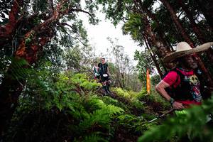 BIB: 
                            <button type="button" onclick="openModal(26203949)" class="btn btn-primary btn-sm float-right btn-popup" data-toggle="modal" data-target=".modal-high-quality">
                        <i class="fas fa-shopping-cart"></i> Add to Cart
                    </button>
                                            <button type="button" onclick="isThisMe(26203949, true)" class="btn btn-success btn-sm float-right btn-popup btn-isme hidden" data-toggle="tooltip" data-placement="bottom" title="นี่คือรูปของคุณใช่ไหม คลิกที่นี่เพื่อเอาเข้าอัลบั้ม">
                        <i class="fas fa-plus"></i> Add to album
                    </button>
                    <button type="button" onclick="isThisMe(26203949, false)" class="btn btn-warning btn-sm float-right btn-popup btn-isnotme hidden">
                        <i class="fas fa-ban"></i> Remove from album
                    </button>